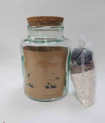 טרריום מופלא לאוהבי צמחיה