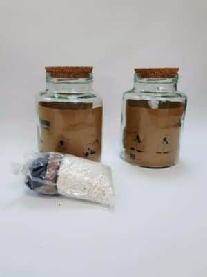 טרריום מופלא